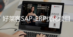 2020年好莱客SAP-ERP优化项目招标公告